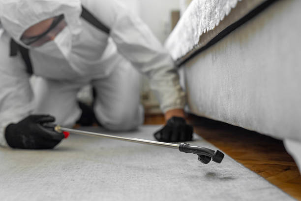 Professional Bed Bug Control technician working in Roaming Shores, OH